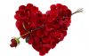 Փետրվարի 14 – սիրո տոն: Ի՞նչ է սերը: Սիրո սահմանումը և նրա տեսակները