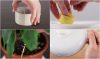 Ատամմաքրիչ փայտիկների 10 անսպասելի կիրառություն (տեսանյութ)