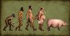 Էվոլյուցիայի թեմայով 14 ճշմարտացի կոմիքսներ