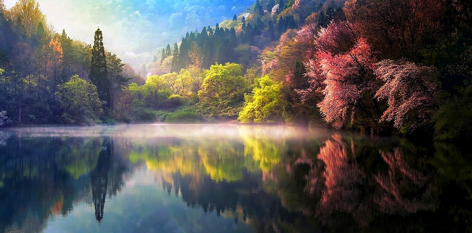 nature-spring-sunrise-mist-lake-reflection-forest-landscape-water-south-korea-1553x768