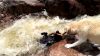 Շունը փրկում է խռովահույզ գետում խեղդվող շանը (տեսանյութ)