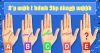 Ինչ է պատմում Ձեր ձեռքի ափը Ձեր անձի մասին