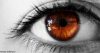 Շագանակագույն աչքեր ունեցող բոլոր մարդիկ ունեն 4 յուրահատուկ ուժ: Սովորեք այն գնահատել