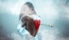 ԿԵՆԴԱՆԱԿԵՐՊԻ 6 նշան, ովքեր նախընտրում են միայնակ մնալ, քան կոտրված սրտով